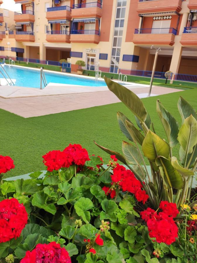 Appartement Paraiso Sol Lovely 1 Bedroom In Costa